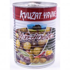 Kvuzat Yavne Mix Olives Pitted 540G